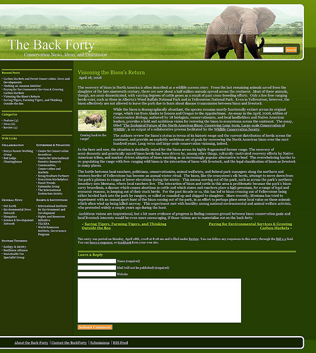 Example of a blog entry